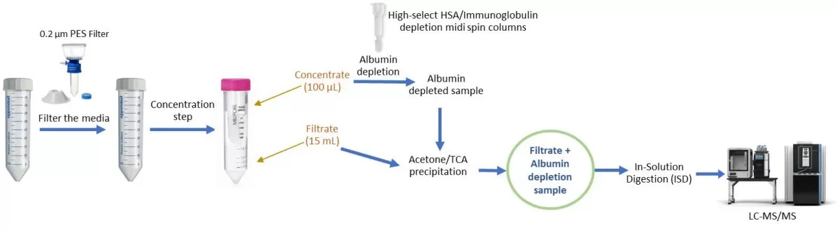 Workflow for optimized secretome preparation for LC–MS/MS analysis